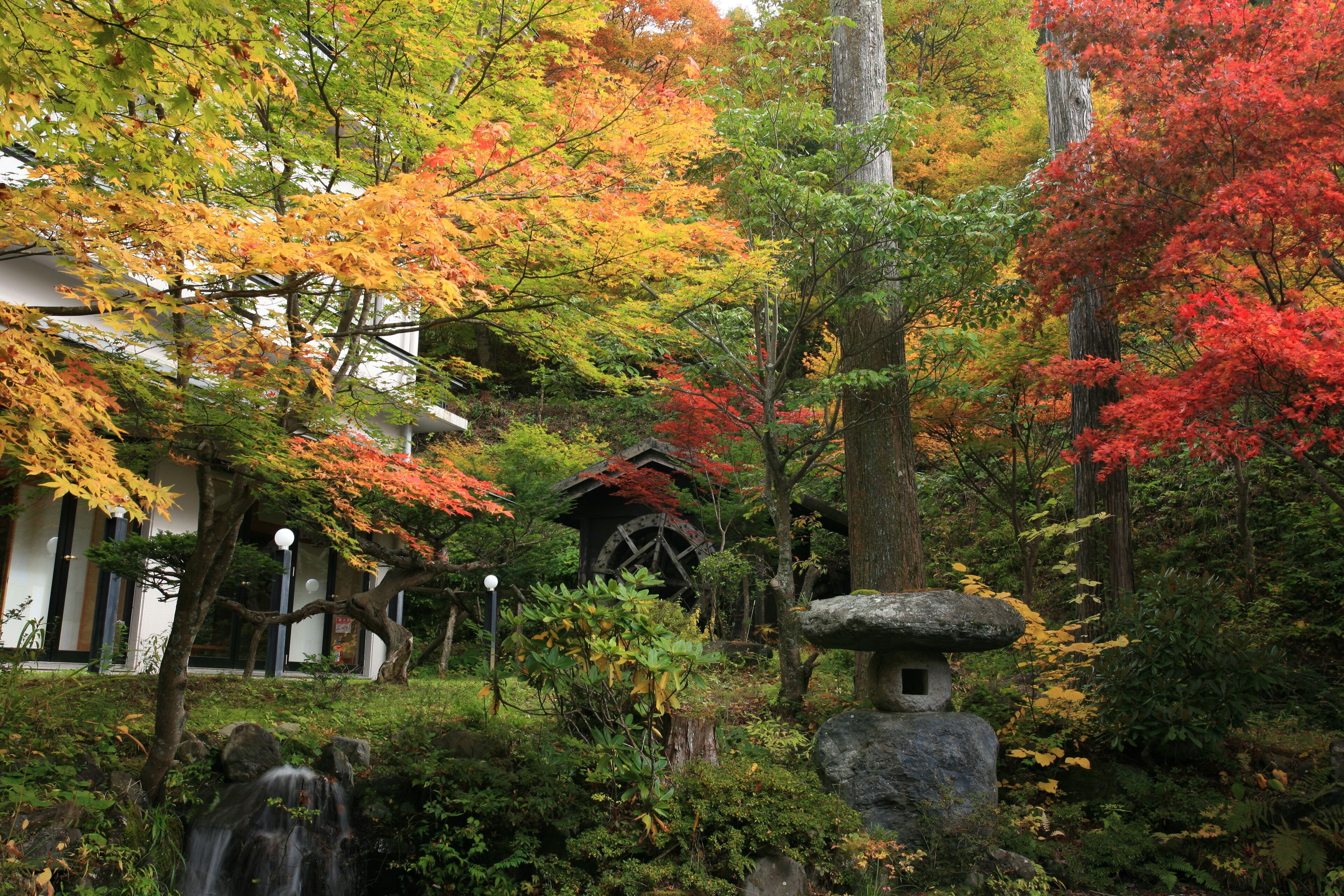 Ein traditioneller japanischer Garten mit Wasserrad, Steinleuchte und Herbstlaub.