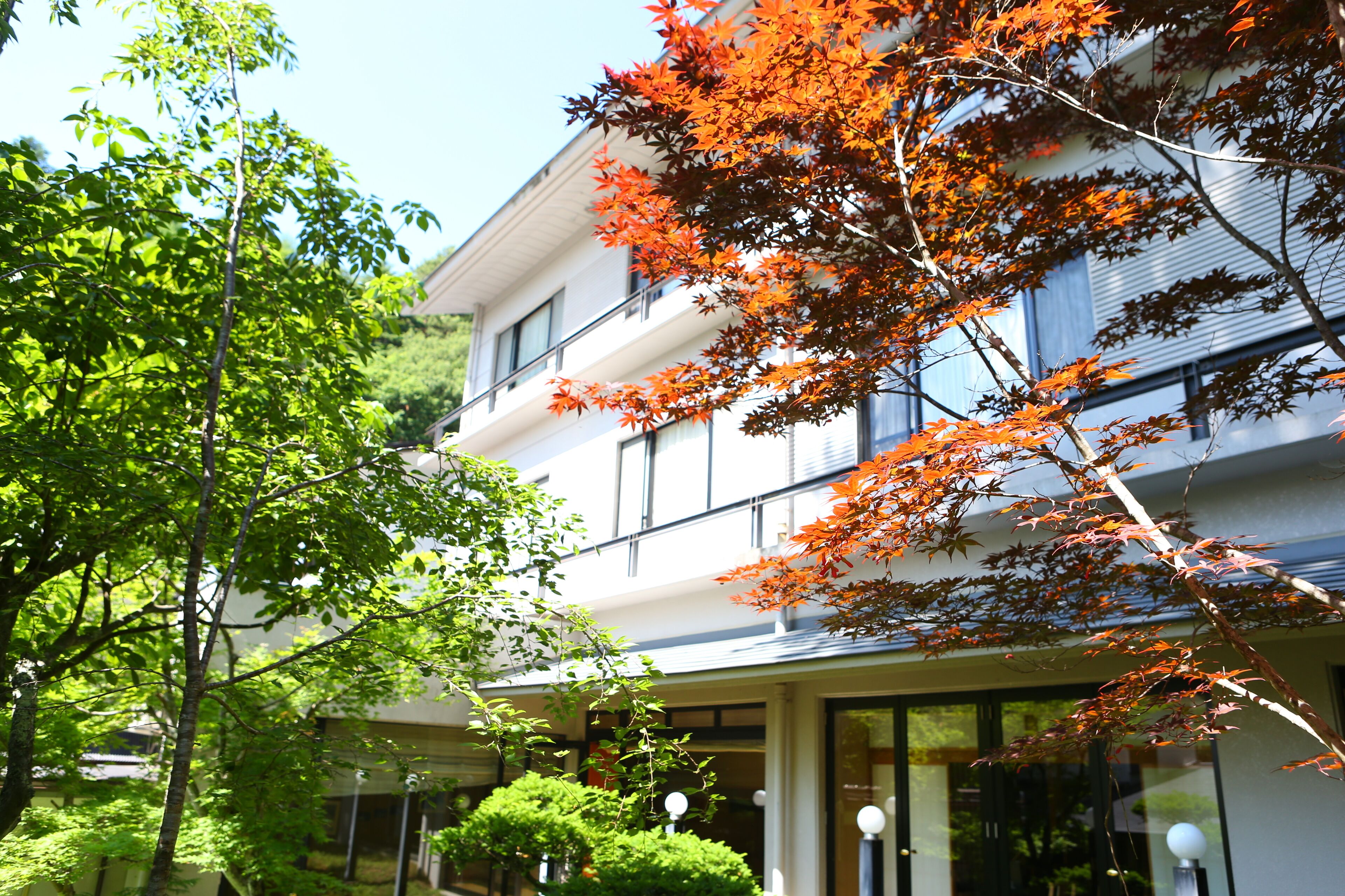 A multi-story building with a modern architectural style, surrounded by lush greenery and trees with autumn foliage.