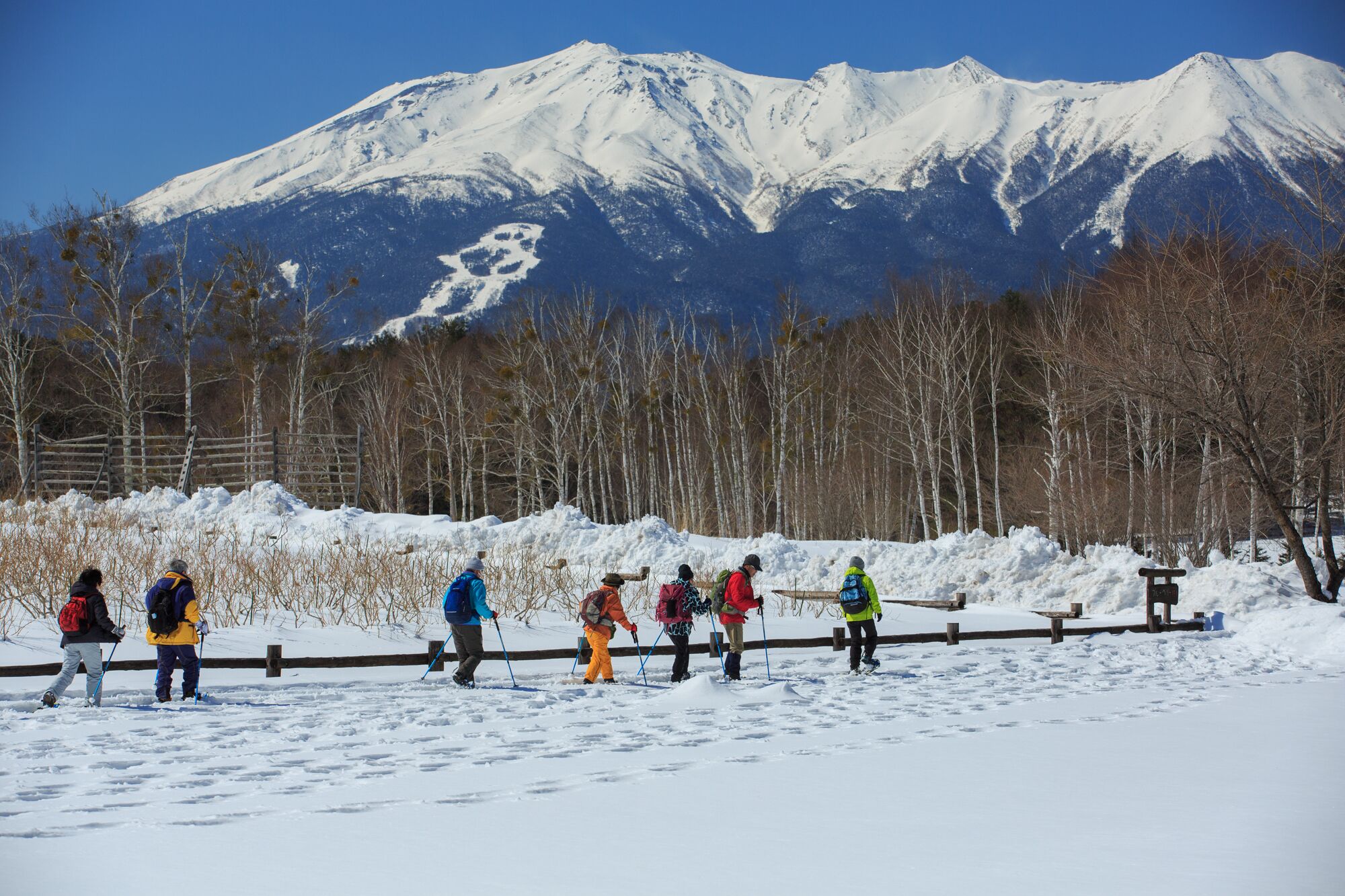 A group of people skiing on a snowy path with a mountain in the background.