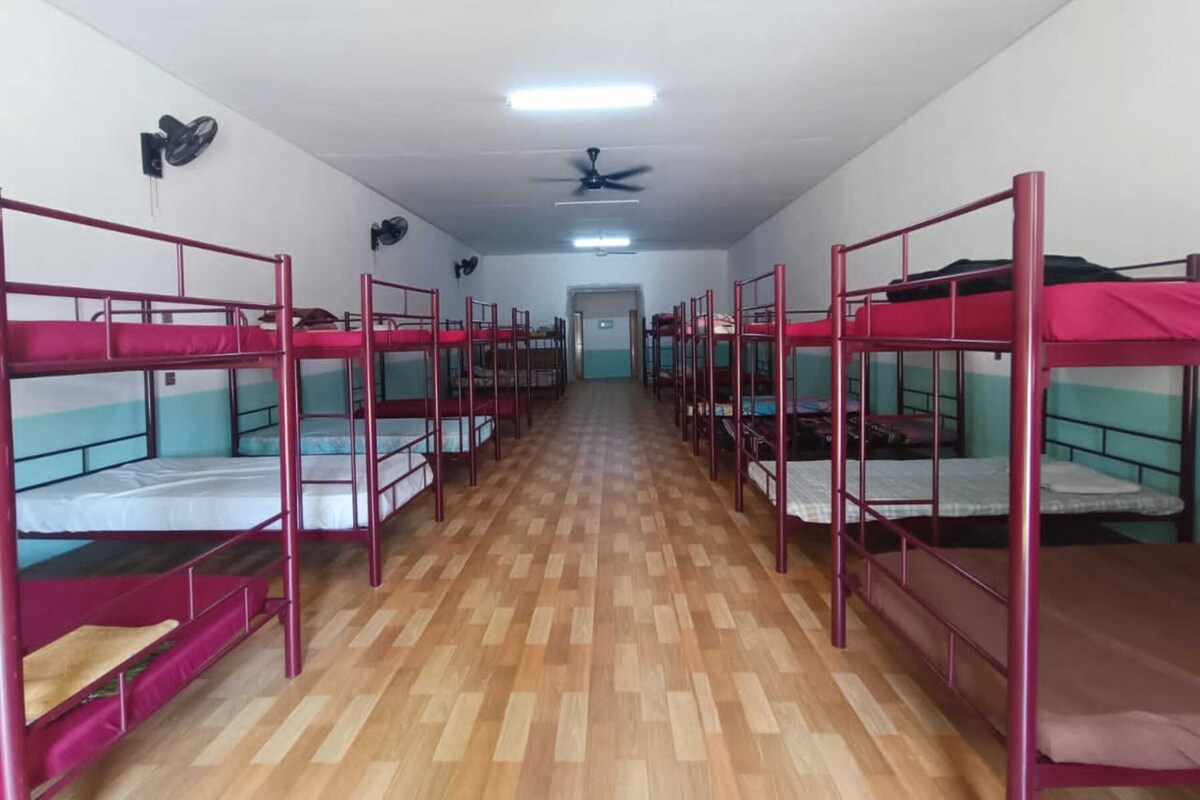 A dormitory room with bunk beds arranged in rows, a ceiling fan, and a light fixture.