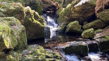 A natural stream flowing over rocks in a forested area.