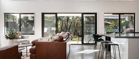 Smart TV, fireplace, books