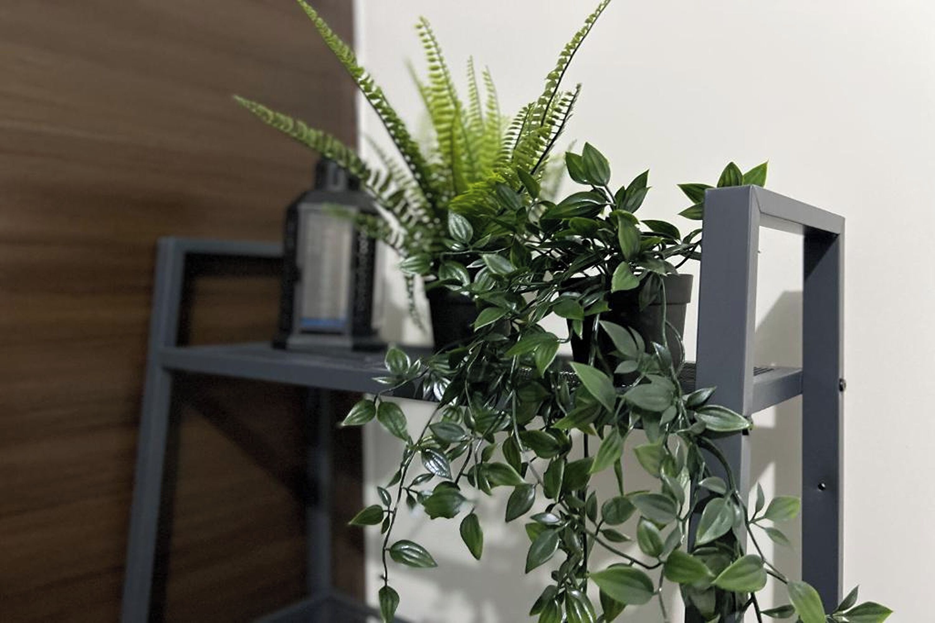 A potted plant with broad leaves and a fern on a metal stand.