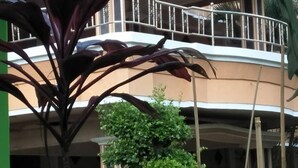 Un immeuble à plusieurs étages doté d’un balcon, entouré de différentes plantes en pot et de verdure.
