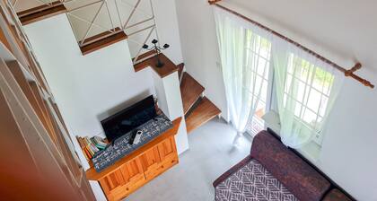 Apartma Gea, Terme Olimia