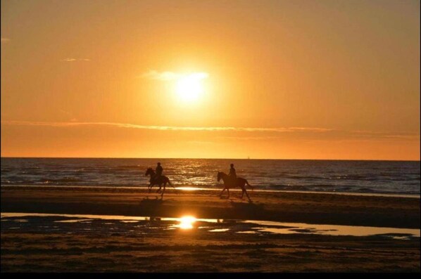 Aan het strand