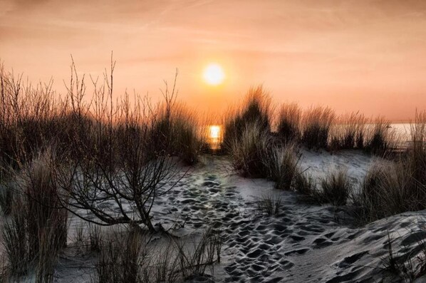 Am Strand