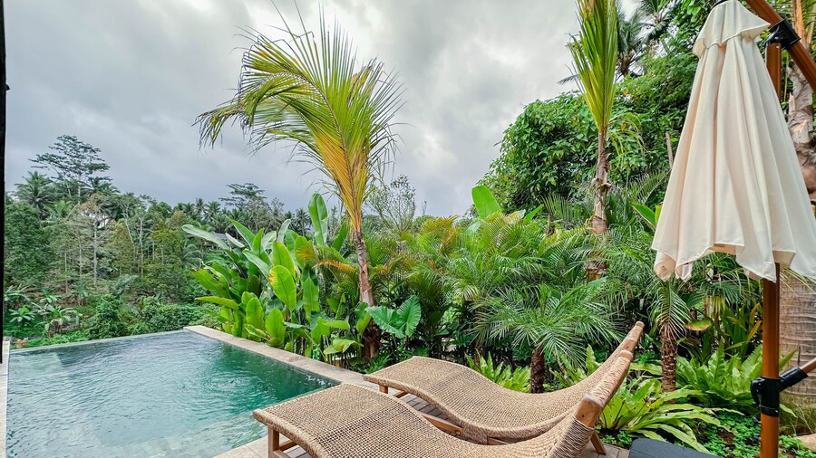 Magical Jungle Resort and Spa