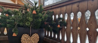 Appartement 'Mitterbruggehof Silberdistel' met uitzicht op de bergen, gedeelde tuin en Wi-Fi