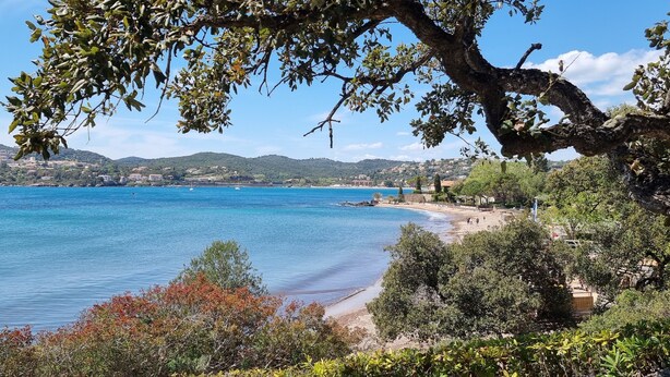 Un paysage côtier avec une plage, des arbres et une ville située au loin.
