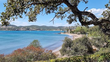Una playa cerca