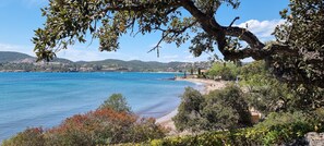 بالقرب من الشاطئ