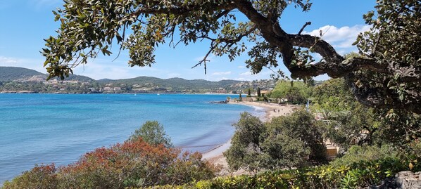 Beach nearby