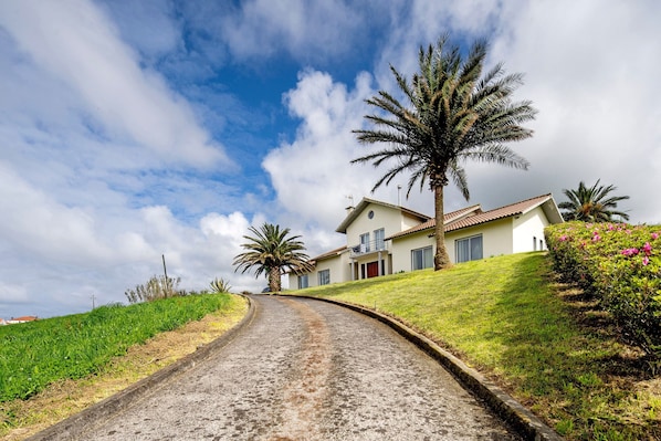 A curved road leading to a white house with a red roof, surrounded by palm trees and greenery.