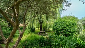 Un jardin avec un banc en bois, une végétation luxuriante et un arbre aux branches pendantes.