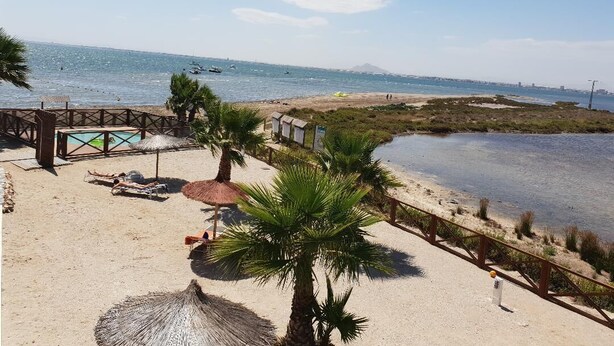 Une vue sur la plage avec une piscine, des palmiers et une terrasse en bois.
