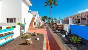 A narrow street with white and blue buildings, palm trees, and a cactus garden.
