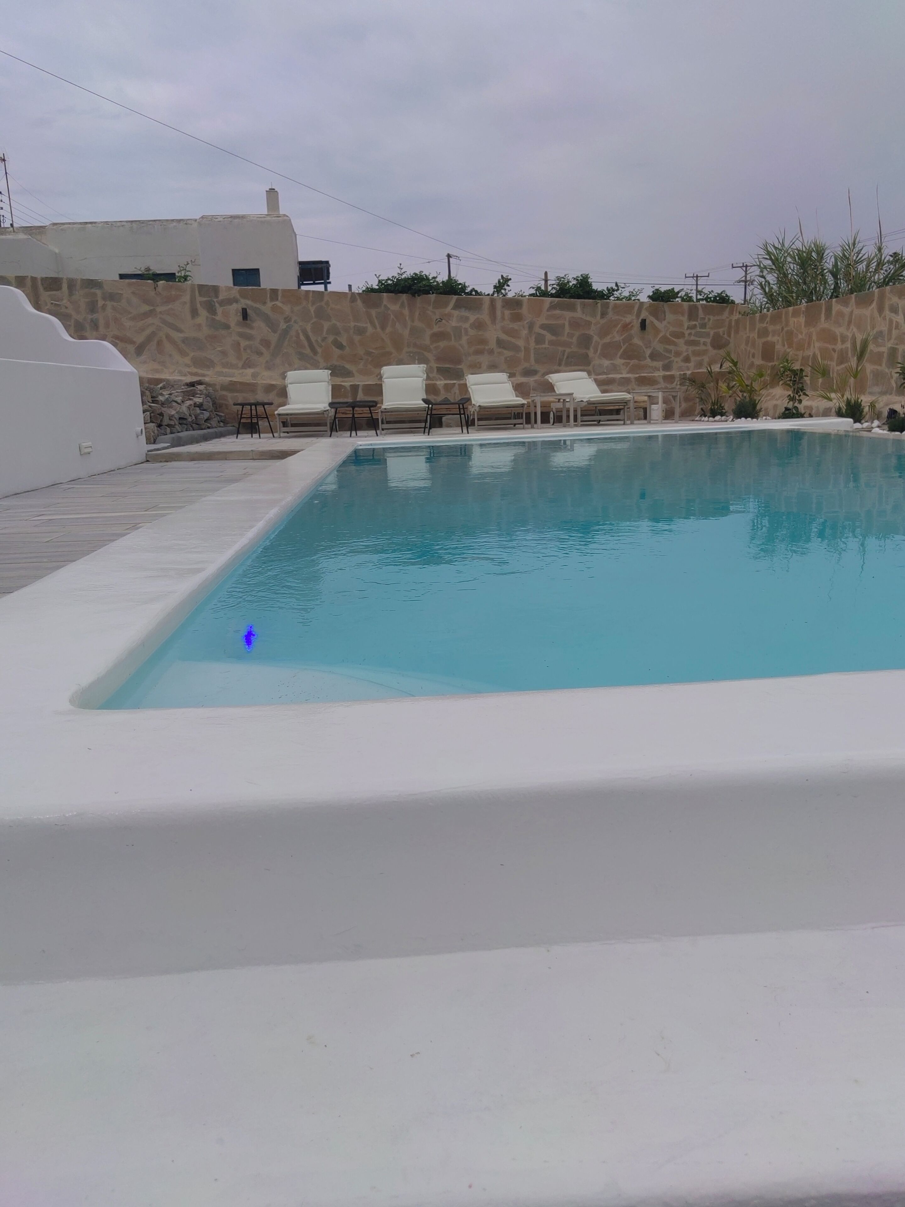 Photo - Ftelia Breeze