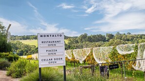 A sign indicating the Montalto Restaurant, PIAZZA, and CELLAR DOOR are open.