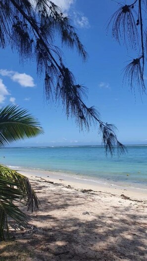 A beach with clear blue water, sandy shore, and palm trees.