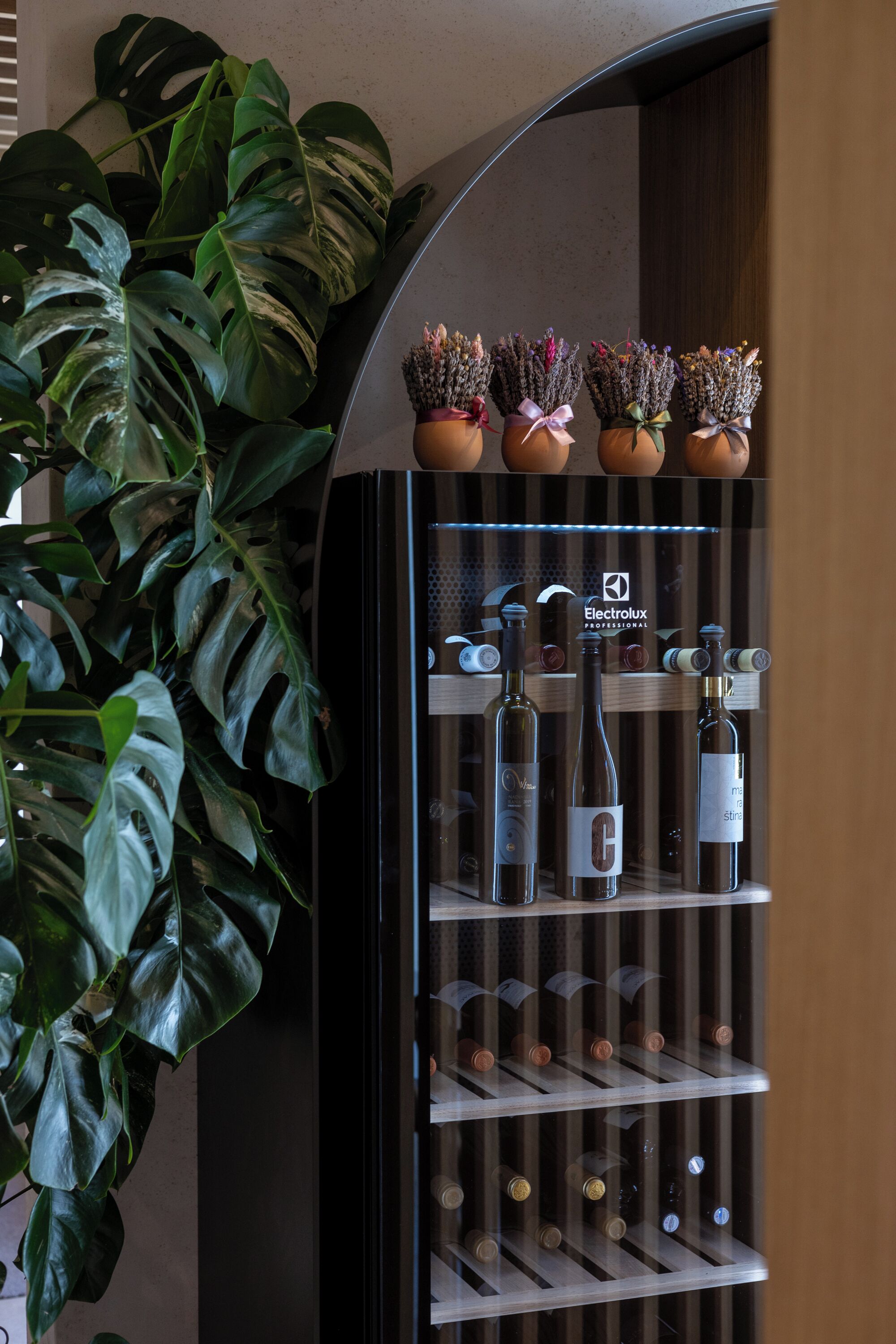 A wine refrigerator with multiple shelves of wine bottles and a selection of potted plants on top.