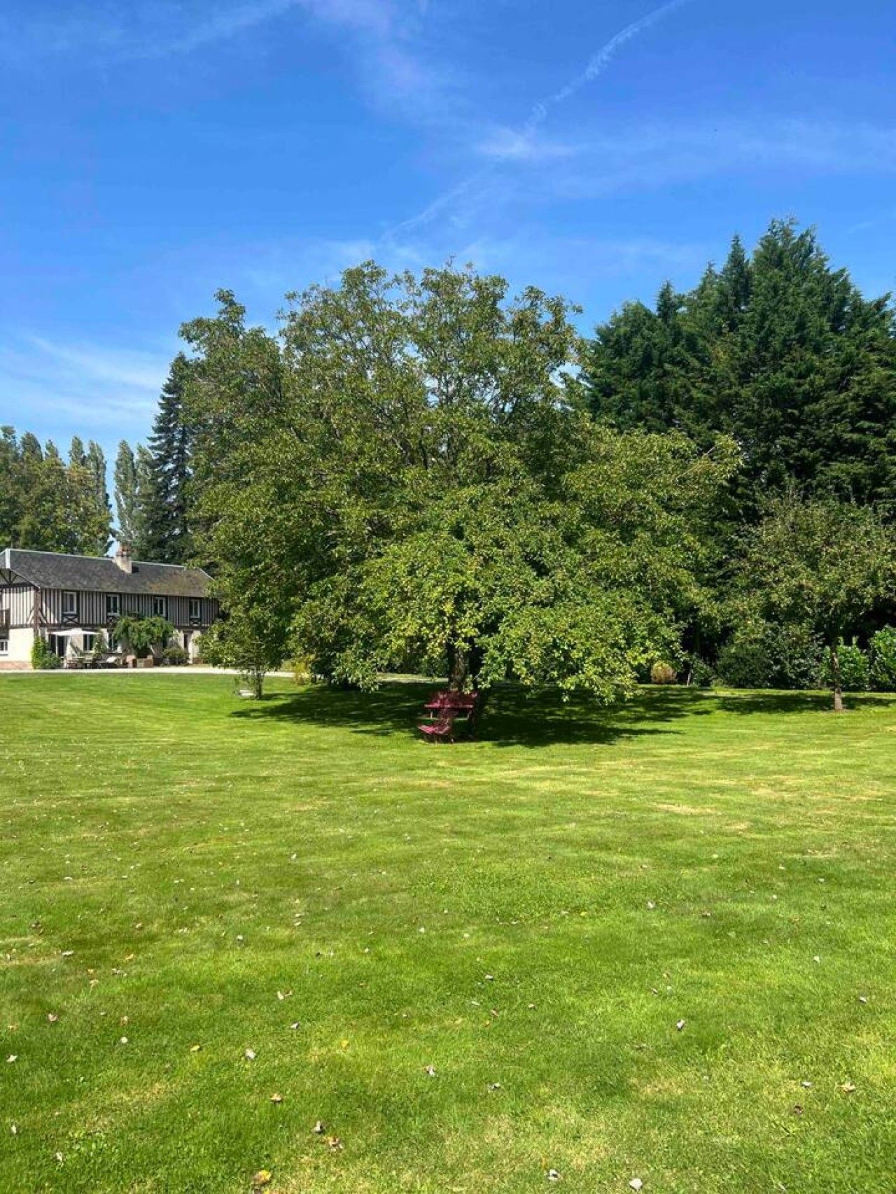 A well-maintained lawn with a large tree and a bench, a building with a dark roof and white walls, and a clear blue sky.