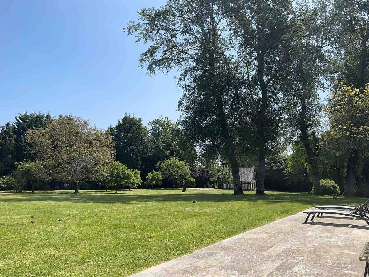 A park with a paved walkway, trees, and a grassy area.