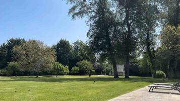 A park with a paved walkway, trees, and a grassy area.