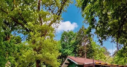 Le Calme au Milieu de la Forêt : Chalet Rénové Avec Piscine Partagée