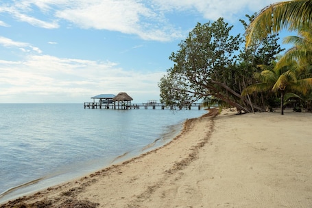 5 habitaciones y acceso a internet