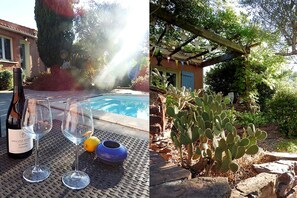 Une scène au bord de la piscine avec une bouteille et des verres, et un cactus dans un jardin.