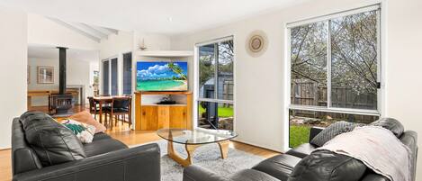 Televisión, chimenea, reproductor de DVD y tenis de mesa