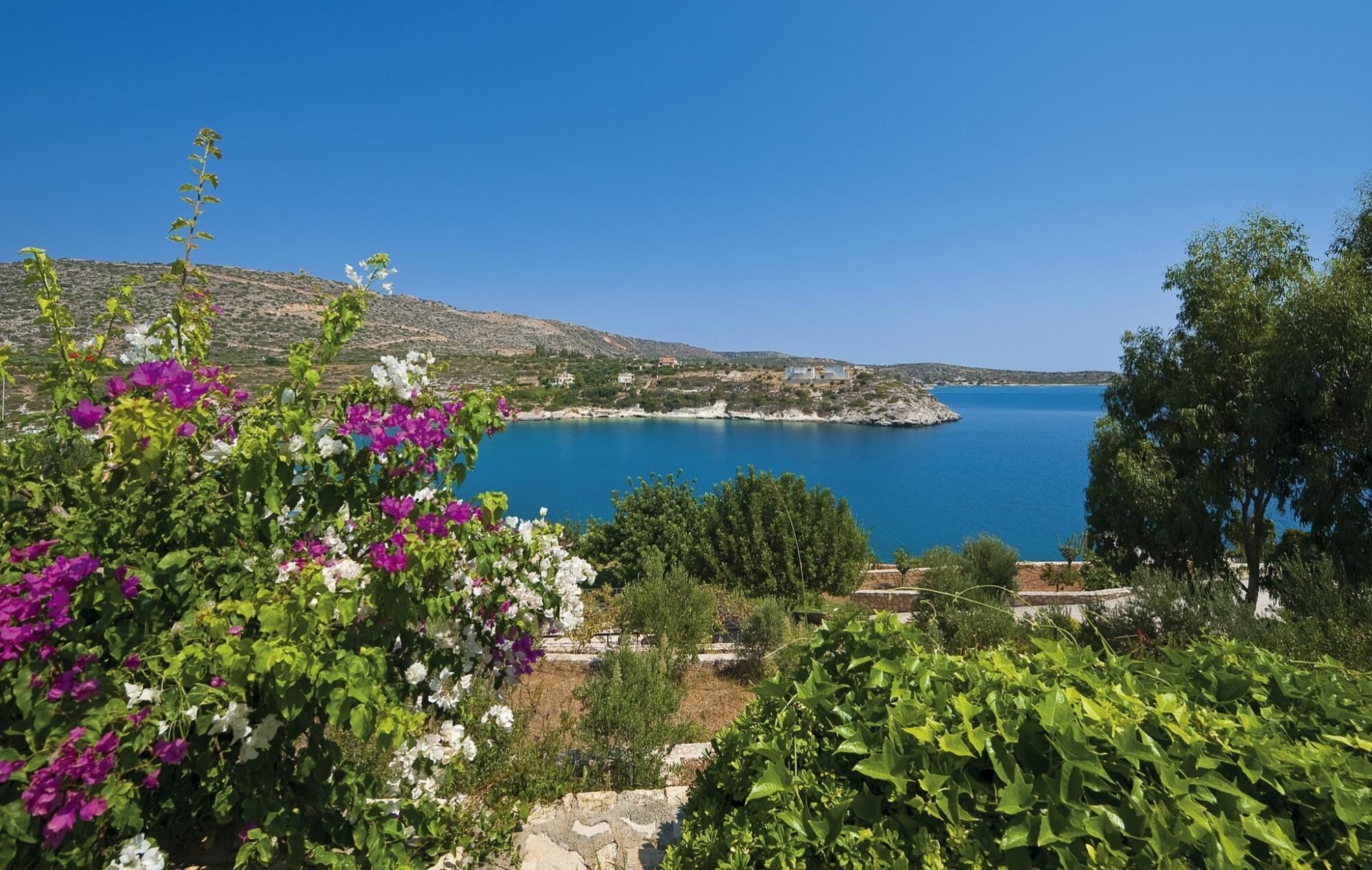 Un paisaje costero con vista despejada al mar, un litoral rocoso y abundante vegetación.