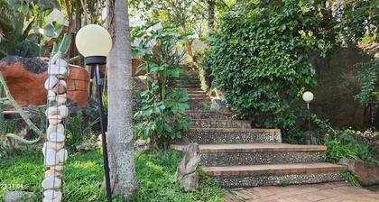 Casa Palmeira Guesthouse