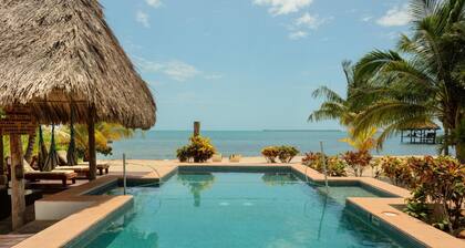 Villa Jammin Gecko in Belize City