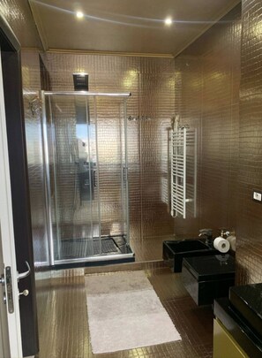 Hair dryer, bidet, towels, toilet paper