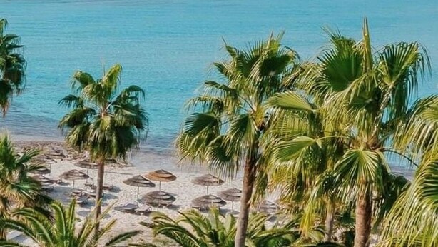 A beach with clear blue water, palm trees, and a rocky outcrop in the distance. - Narcissos Nissi Beach Apartment A8 (Ayia Napa)