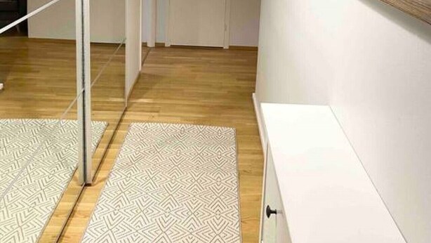 Un couloir avec une armoire à portes miroir, un plancher en bois et un tapis à motifs.
