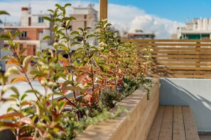 Apartament | 1 dormitori 