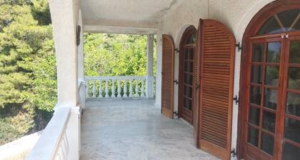 Enjoy Seclusion at Peaceful Mountain Apartment