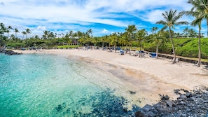 Relax on the beach with sun loungers and umbrellas, surrounded by palm trees and turquoise waters.
