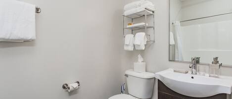 A bathroom with a toilet, sink, and a mirror.