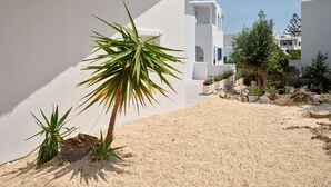A courtyard with a palm tree, white walls, and a garden with various plants. - Bedspot Apartments Paros (Paros)