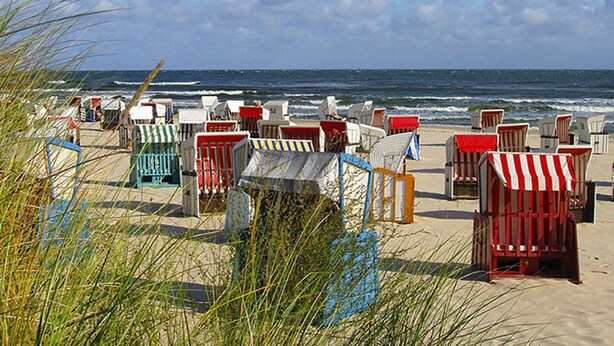 A beach with rows of colorful beach chairs and umbrellas, a sandy beach, and the ocean in the background.