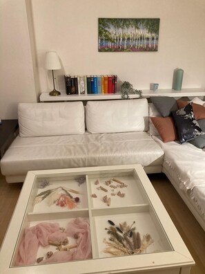 Smart TV, DVD player - 2 Bedroom Private vacation home in Bremen (Bremen)