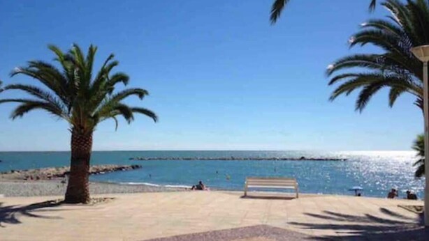 A beach with palm trees, a bench, and the sea in the background.