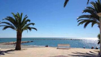 Una spiaggia con palme, una panchina e il mare sullo sfondo.