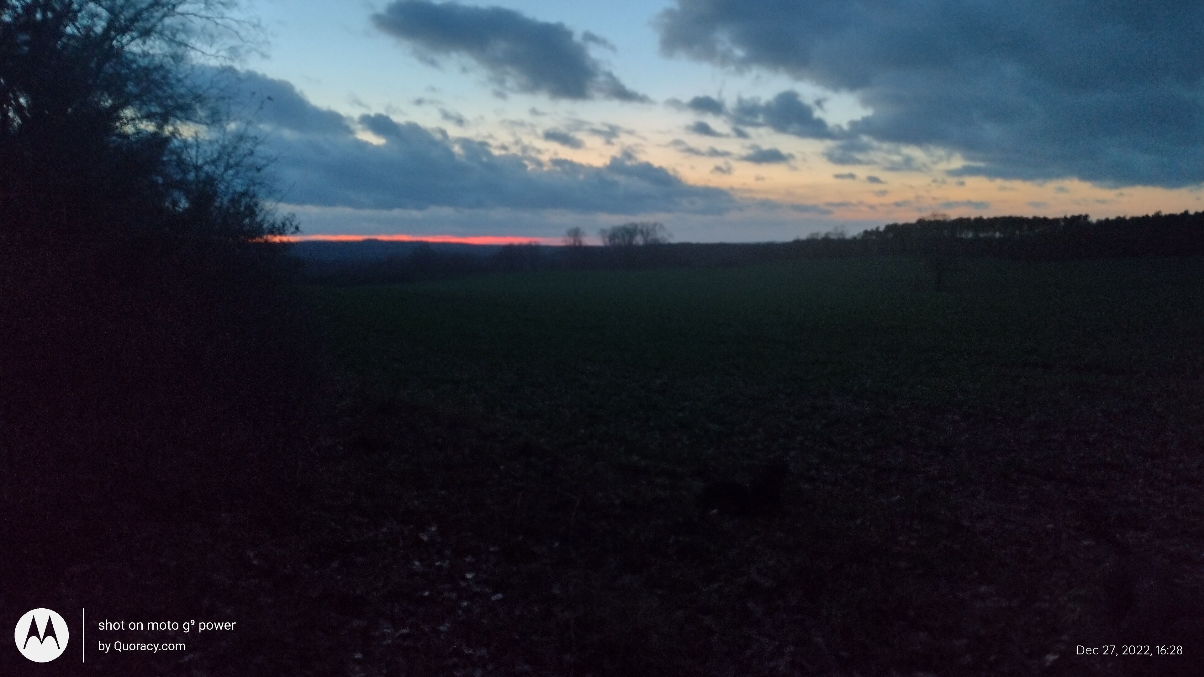 A landscape with a field and trees under a cloudy sky.