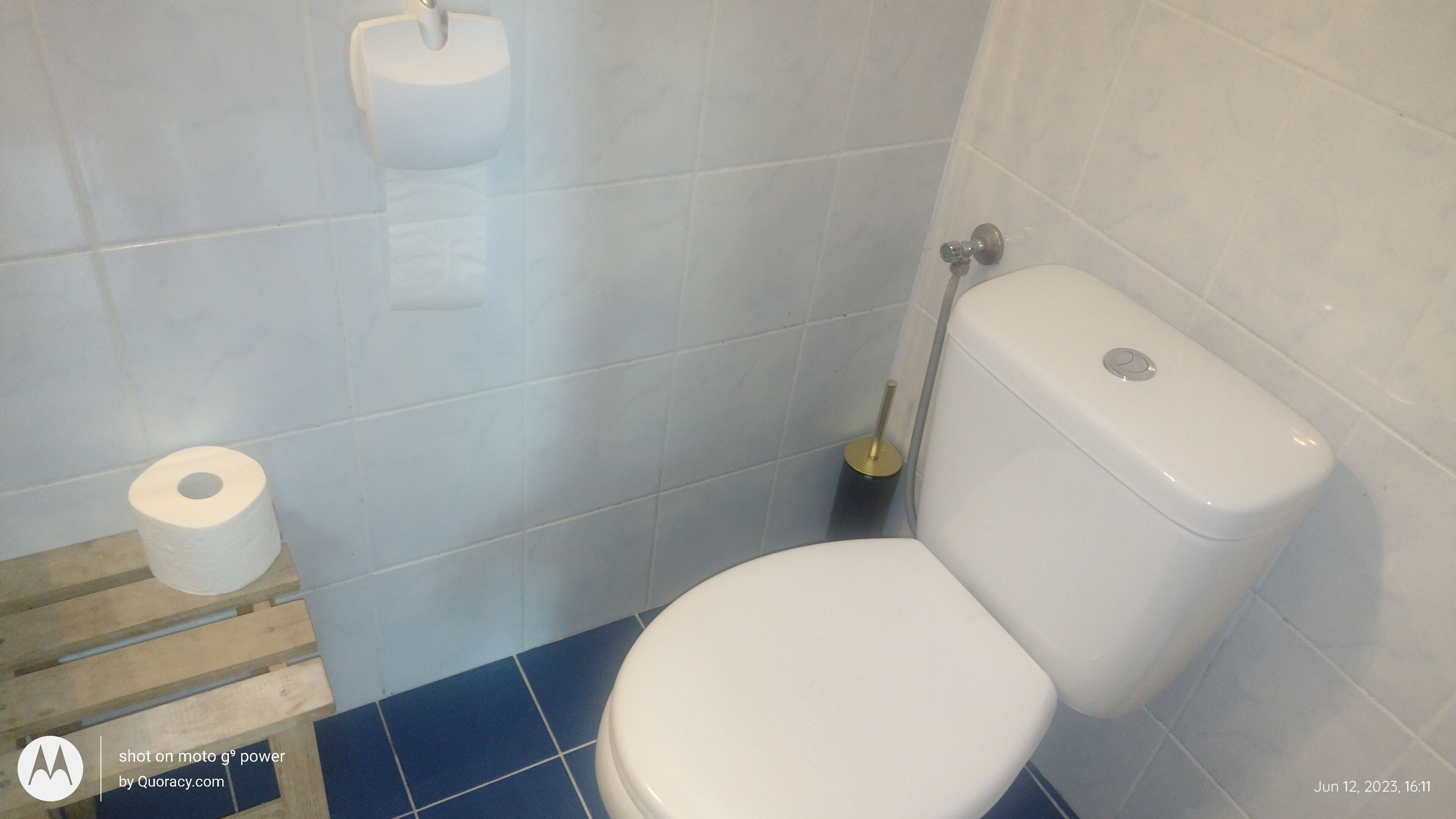 A bathroom with a toilet, a roll of toilet paper, and a toilet brush.