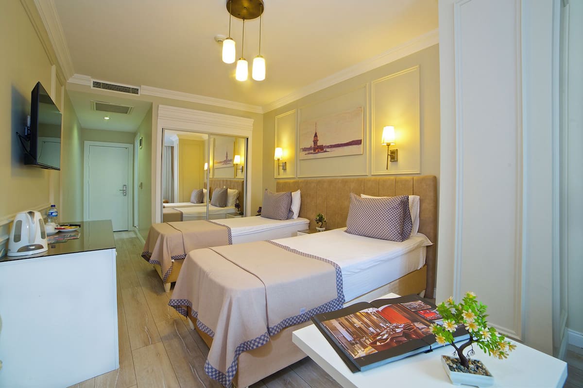 Une chambre d’hôtel avec deux lits, un bureau avec une bouilloire, une télévision et une petite table avec une plante.